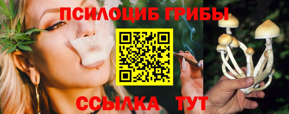 Псилоцибиновые грибы мицелий  Вход с VPN  Туймазы 